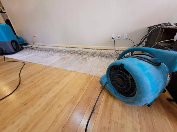 Professional Burst Pipe Water Damage technician working in Randolph, TX